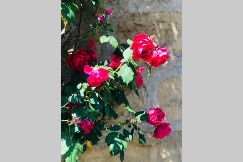 La Campagne Proche De Charleville-Mezieres This Dış mekan fotoğraf